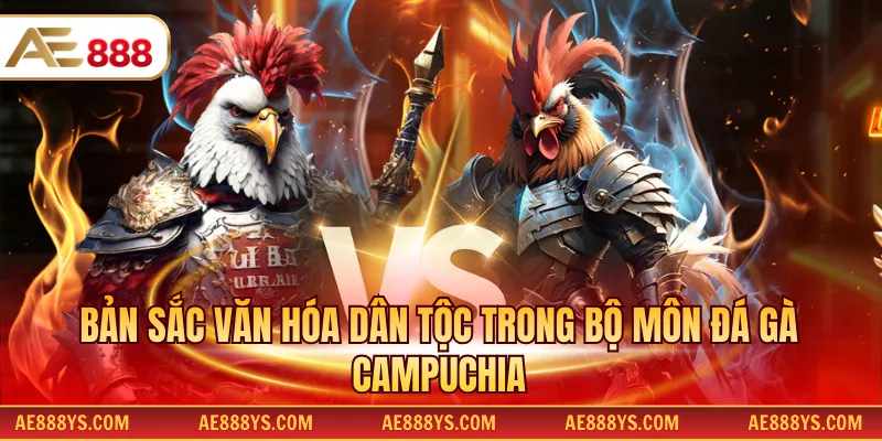 Bản sắc văn hóa dân tộc trong bộ môn đá gà Campuchia