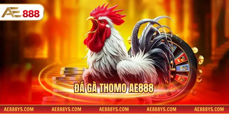 Đá gà Thomo AE888
