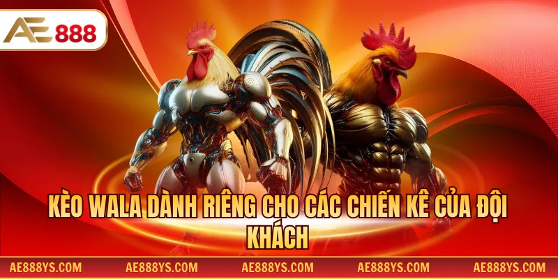 Kèo Wala dành riêng cho các chiến kê của đội khách
