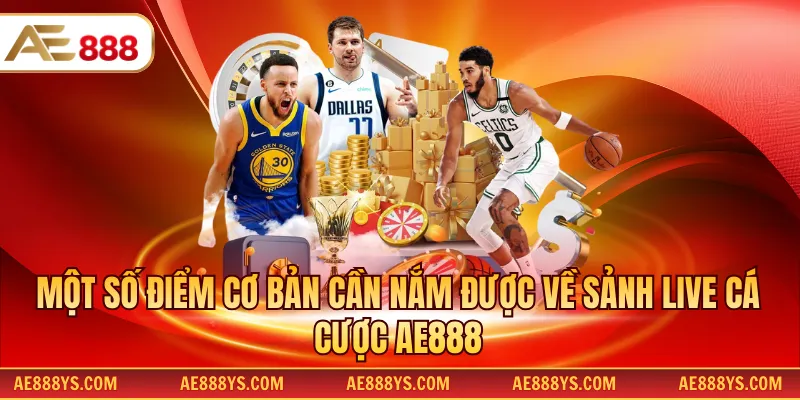 Một số điểm cơ bản cần nắm được về sảnh live cá cược AE888