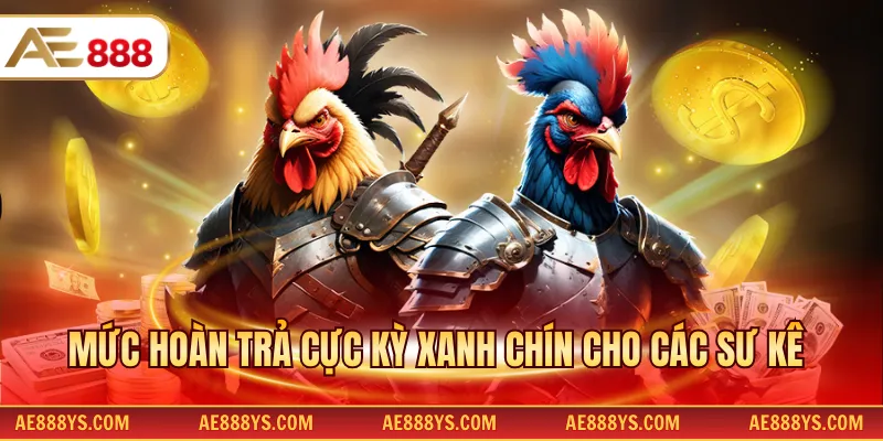 Mức hoàn trả cực kỳ xanh chín cho các sư kê