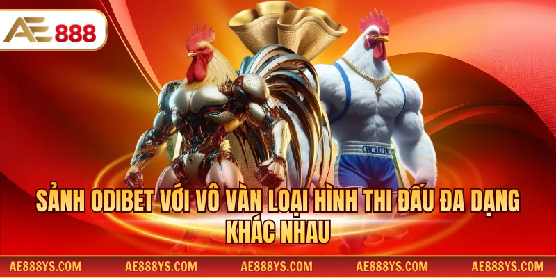 Sảnh Odibet với vô vàn loại hình thi đấu đa dạng khác nhau